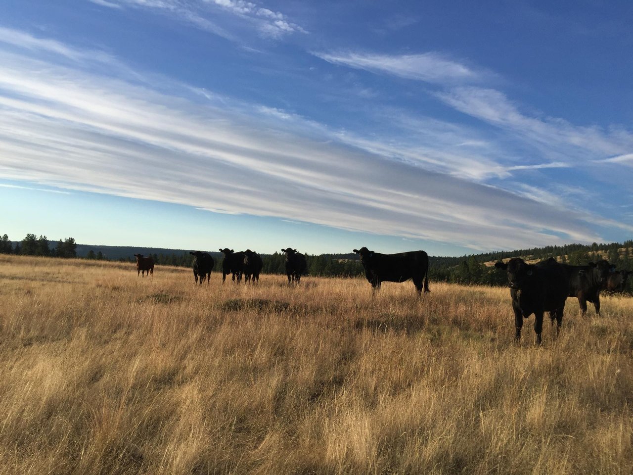 Ukiah, OR